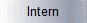 Intern